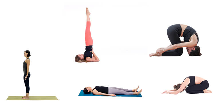 Yoga Asanas for the strength  of your back